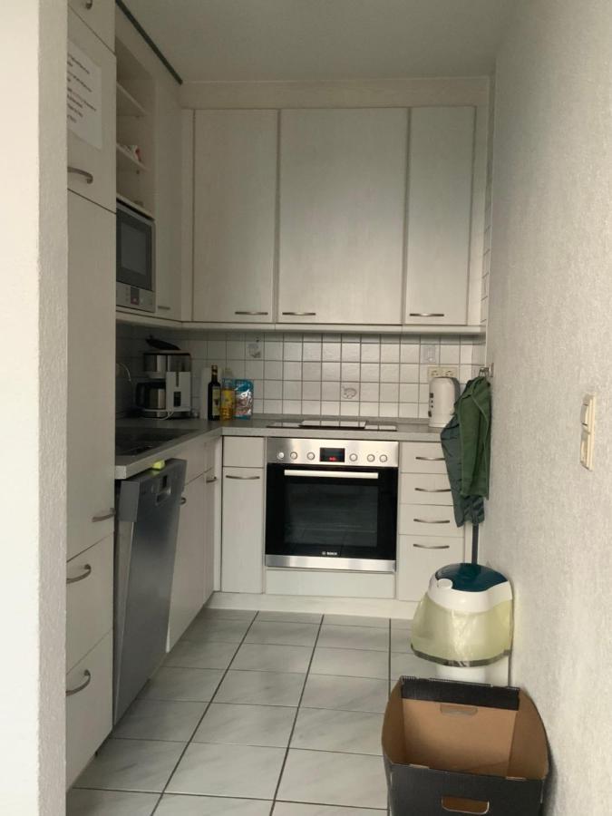 Ferienwohnung Sonnenschein Grenzach-Wyhlen Extérieur photo